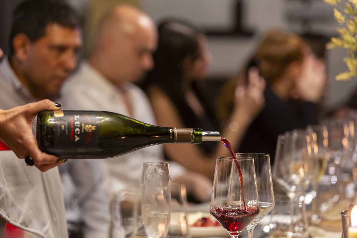Servicio de vino en la mesa